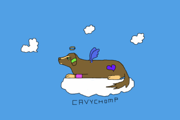 charity5462389's Cloud pup