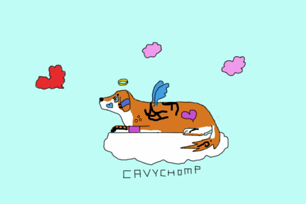 Nuky 101's Cloud pup