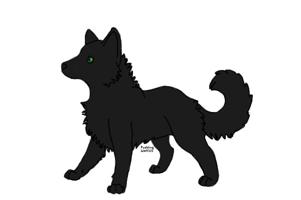 Character from a Book I'm Writing