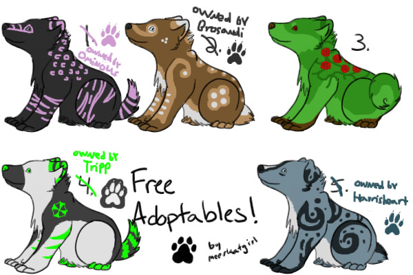 Some Adoptable Canines