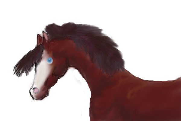 The Filly: Meadowlarke