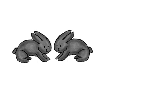 Custom Growing Rabbits -CLOSED-