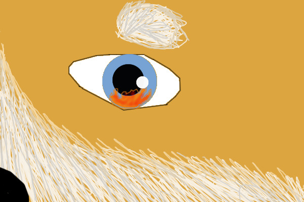 wolf