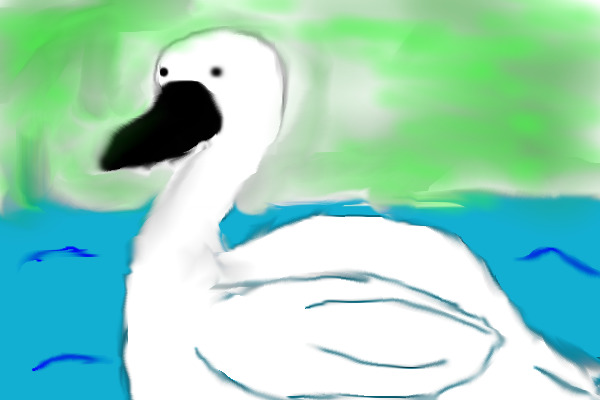 Swan