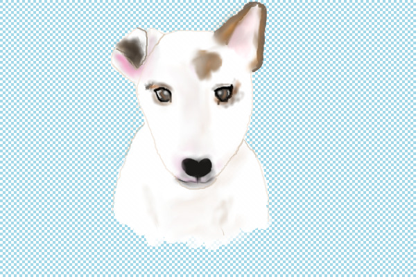 doggie!!!