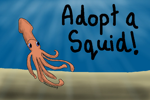 Adopt a Squid!
