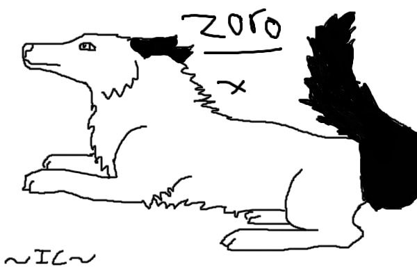 Zoro for Starlight