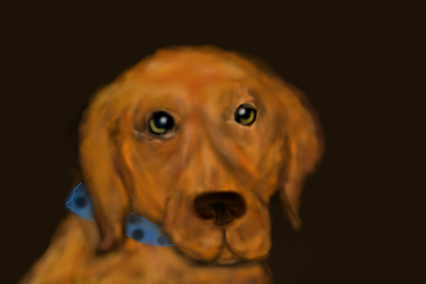 doggie!!!