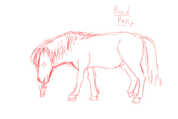 Pony
