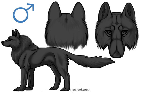 Create me a character~