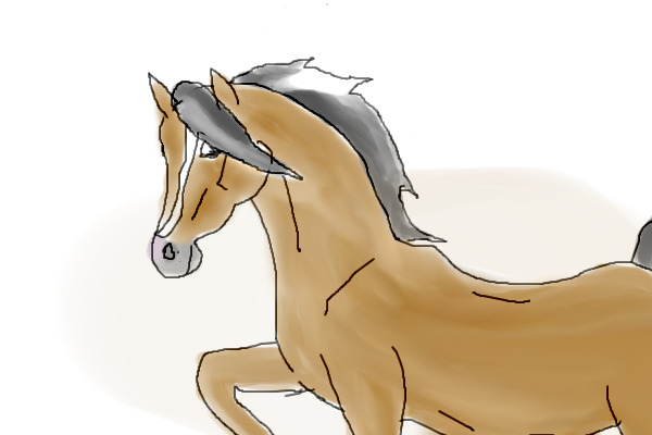 horse
