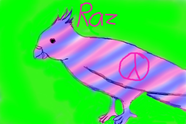 Raz