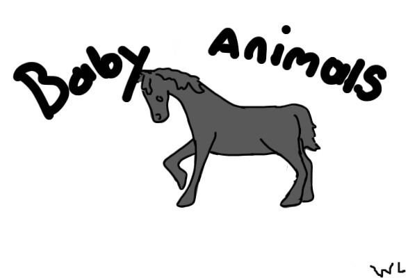 Baby Animals~BA