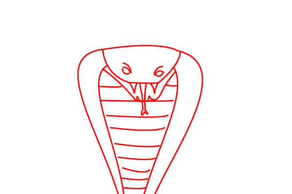 cobra