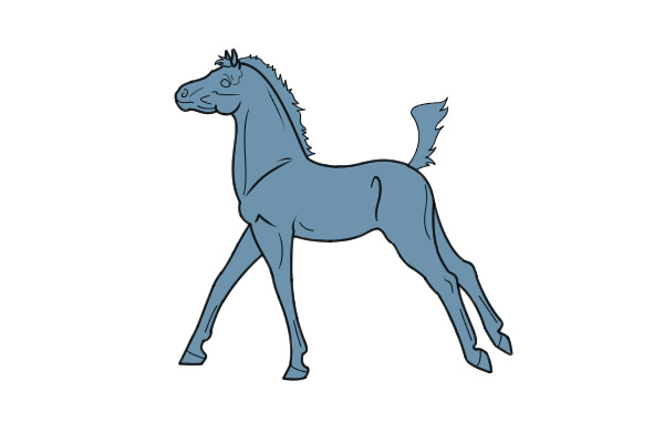 Foal Lines