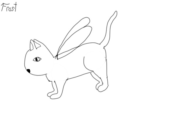 Kitten Adoptables