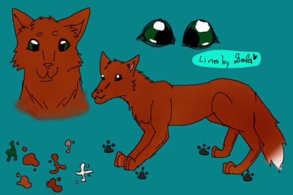 Red Fox