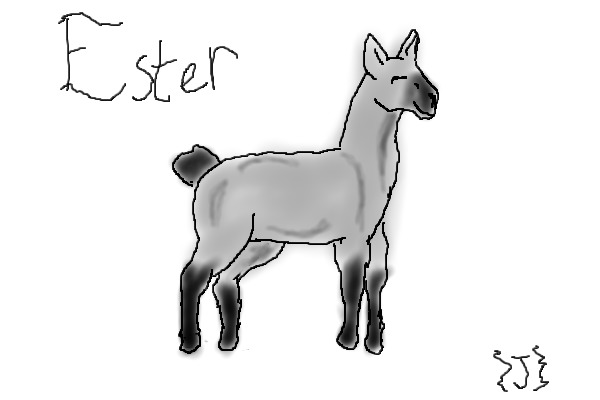 For Member Lydia