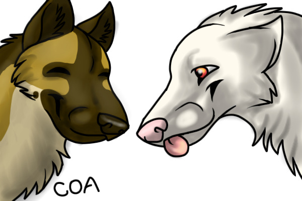 GSD & Albino Wolf (now finished :D)