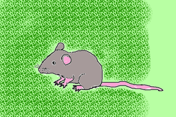 mousey