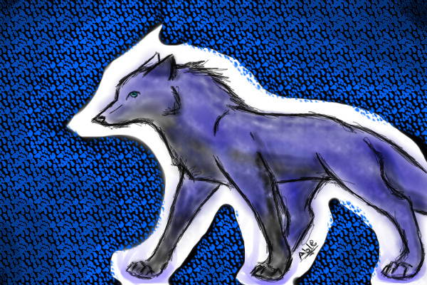 Blue wolf
