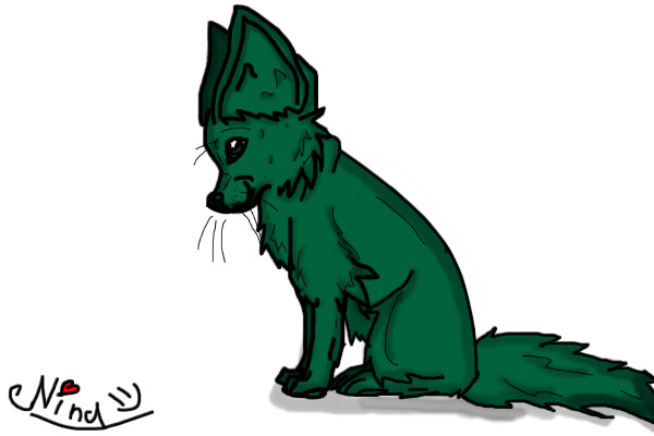 Color Fennec fox!:D