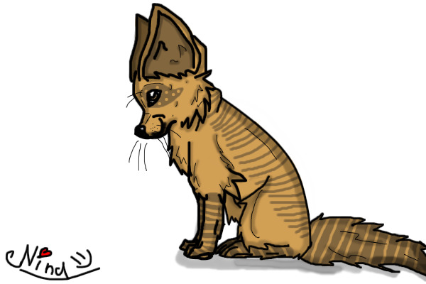 Fennec fox colored on AN AMAZING LINEART