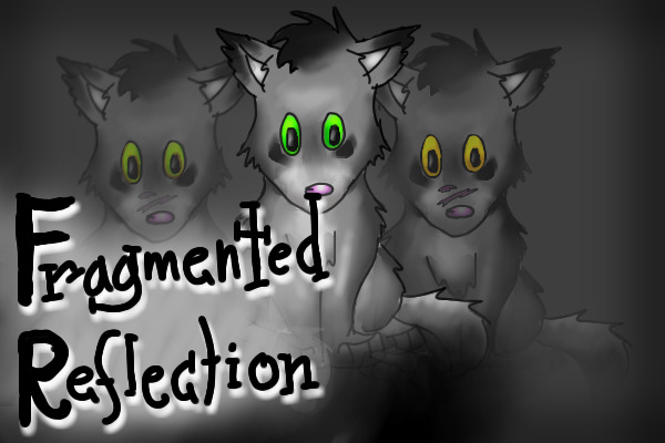 Fragmented Reflection-Cover