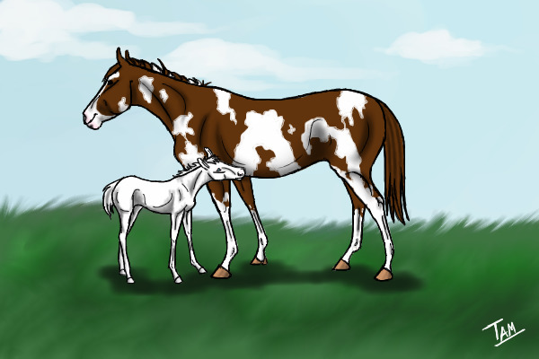 Sadie and her OLWS foal.