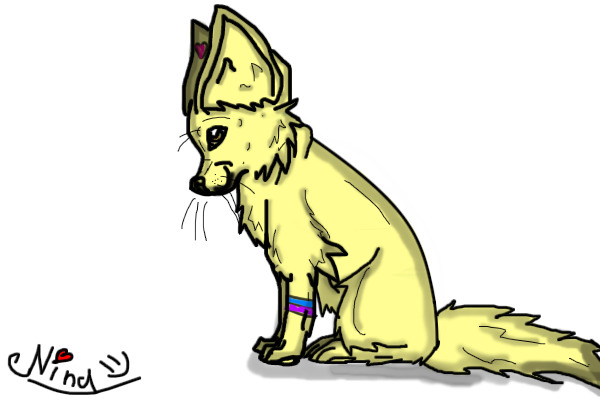 Rachel as a fennec fox :3