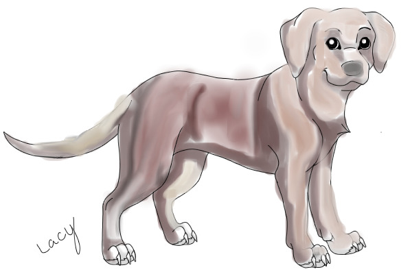 doggy