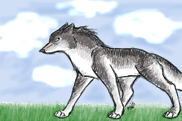Teh Gray Wolf