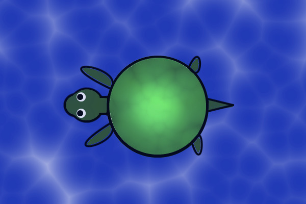 Baby turtle