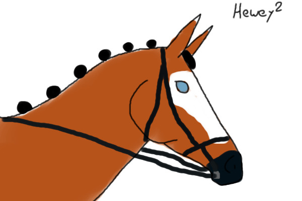 A bay horse