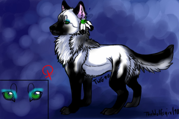 Tenshi in Wolf Form!!!