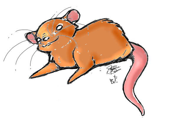 its a ratteh!