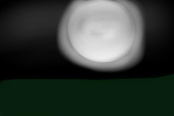 the night sky