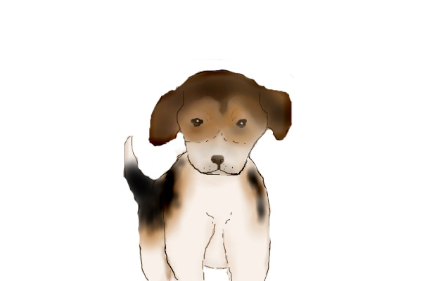 beagle...