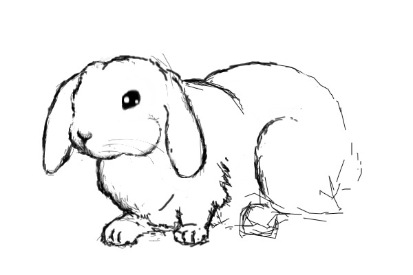 Fnuffy Bunneh