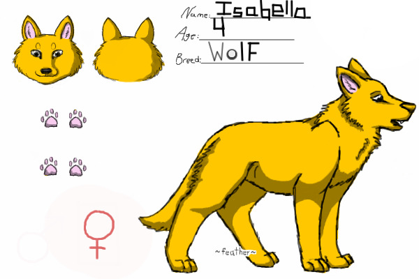 a dog