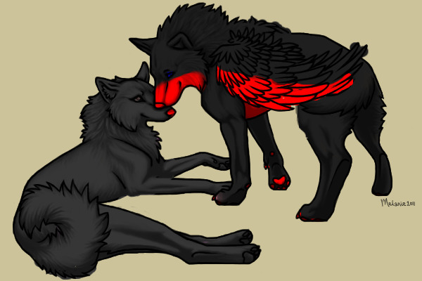 Welcome to the Shadow Pack