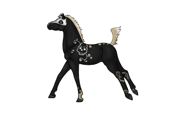 foal 1