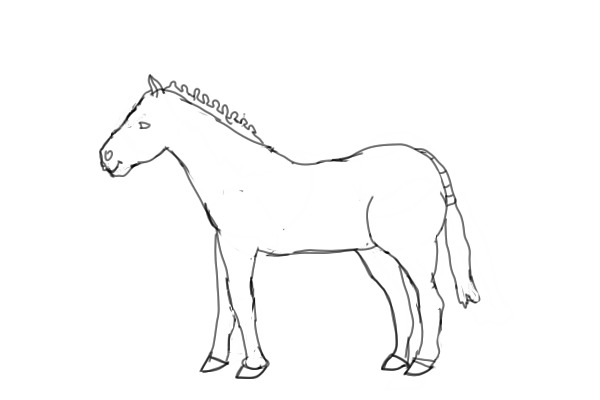 Adoptable Horse