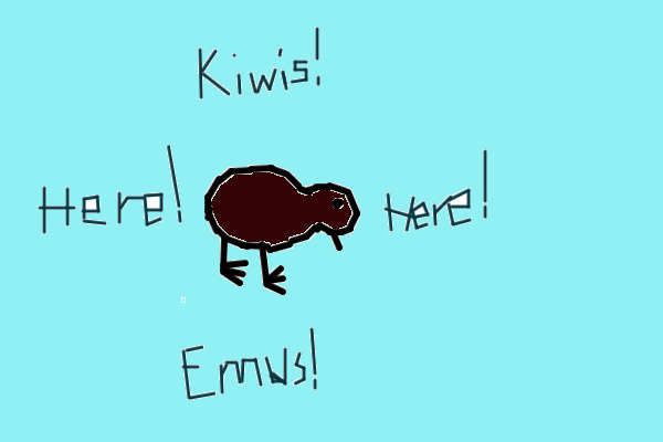 Adoptable! Kiwis and Emus