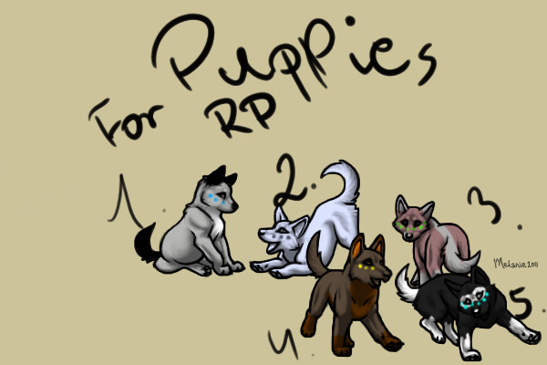 Puppies for RP.