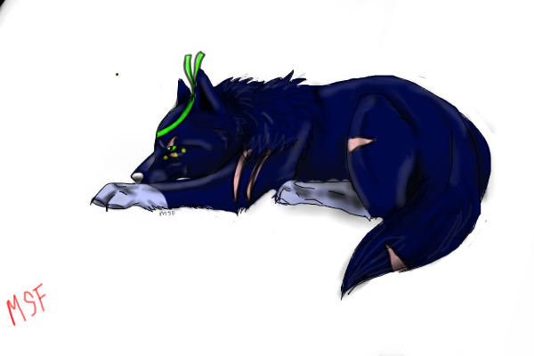 Another picture of a wolf for RP.