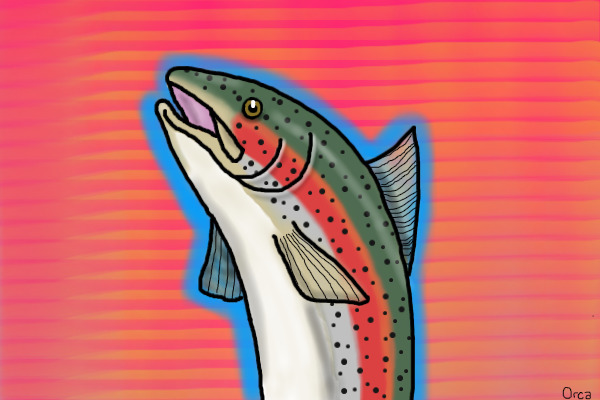 A trout for father's day!