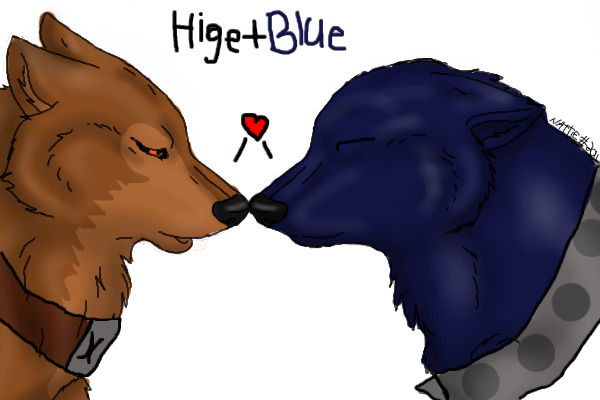 hige+blue=love