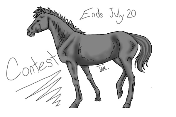 Horse Contest ||| Ends July 20