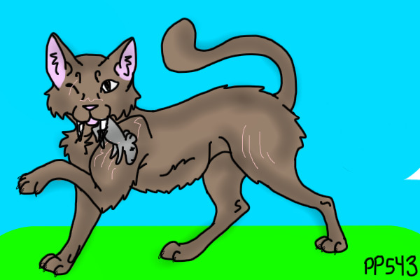 tigerstar